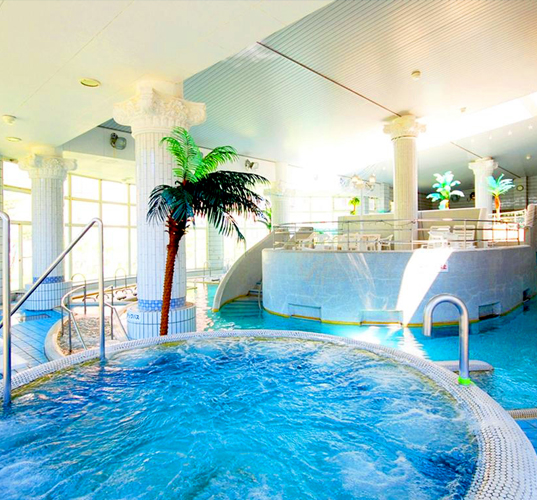 温泉 Spa 公式 阿蘇温泉 露天風呂が有る阿蘇の司ビラパークホテル スパリゾート